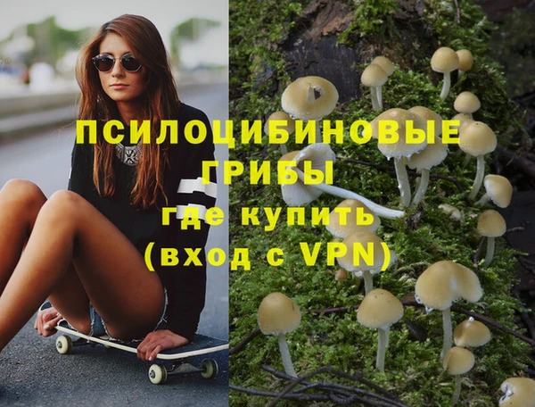 прущие грибы Алзамай