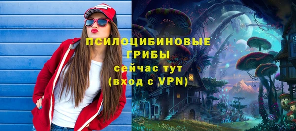 спиды Алексин