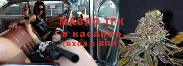 прущие грибы Алзамай