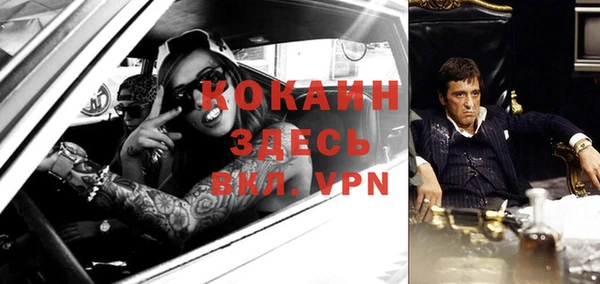 прущие грибы Алзамай
