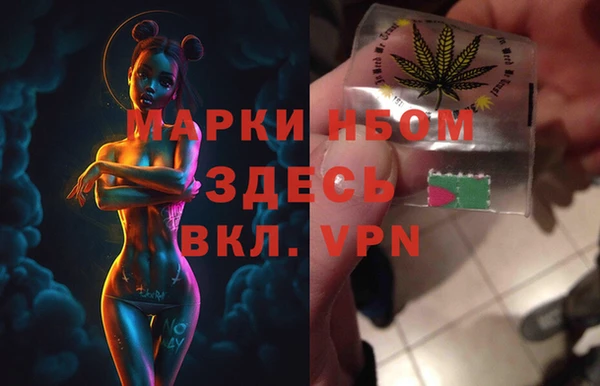 гашик Козельск